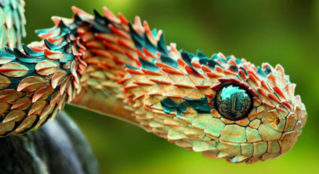 Eski rus porno bayramlar Oddiy plyajdagi nudistlar